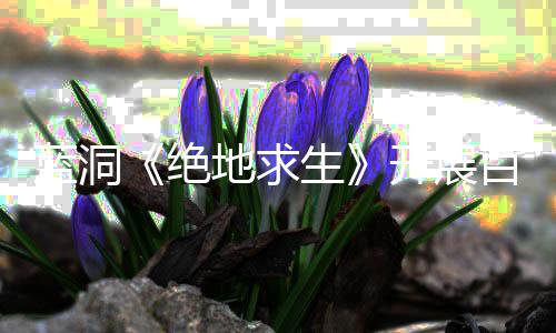 行动生地求蓝洞绝 坚决打击外开展百日为挂行